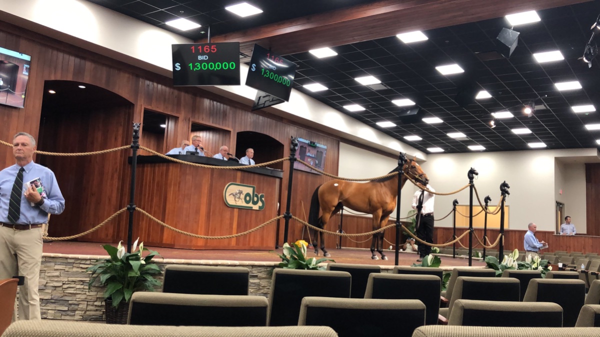 de Meric Thoroughbred Sales Ocala Marion County Founder Horse Farms Forever