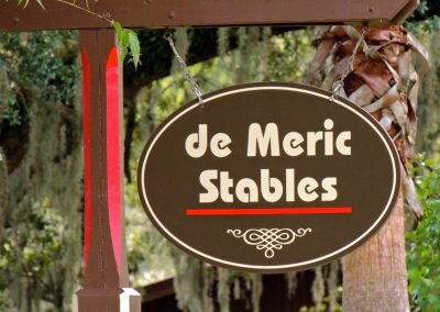 de Meric Thoroughbred Sales Ocala Marion County Founder Horse Farms Forever