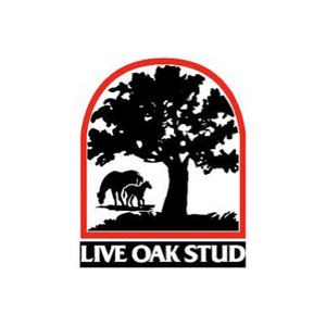 Live Oak Stud Ocala Marion County Florida