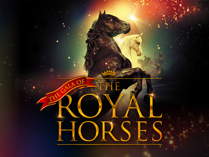 February 2020 – Equestrian Events