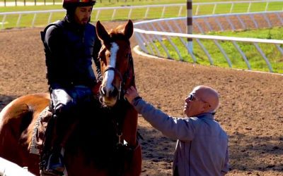 Meet Horse Farms Forever Supporter Mark Casse