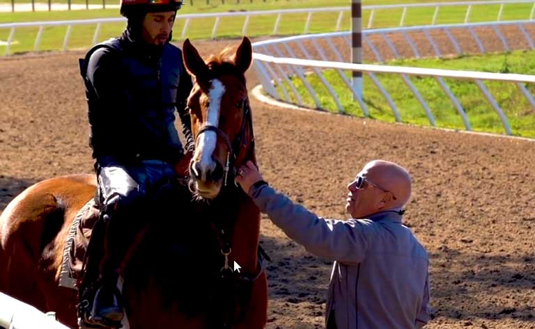 Meet Horse Farms Forever Supporter Mark Casse