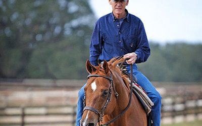 Nick de Meric Advocates Drawing A Line in the Sand