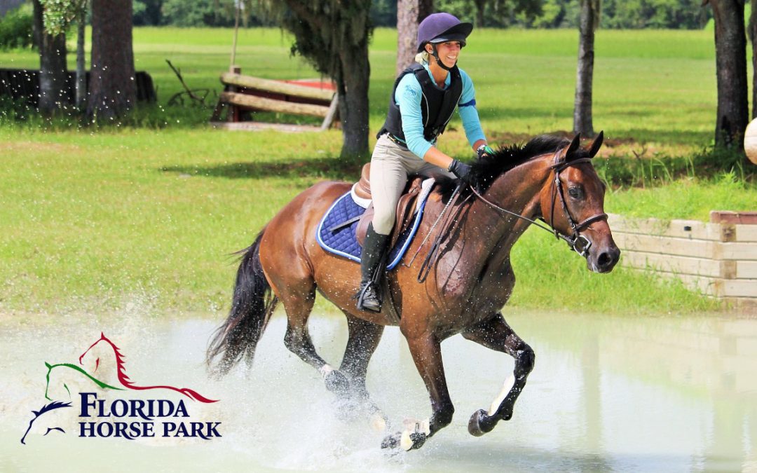 January 2020 – Equestrian Events