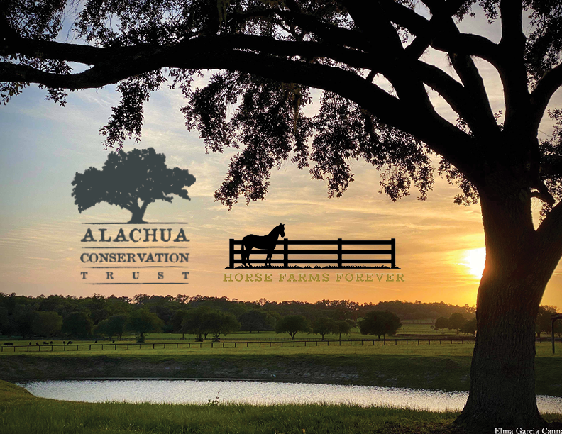 Horse Farms Forever and the Alachua Conservation Trust Announce Partnership to Protect Land in the Farmland Preservation Area