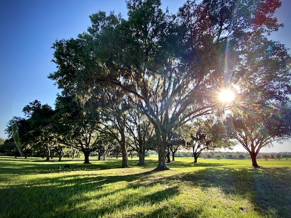 Protecting Farms is More Important than Ever