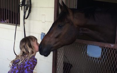 Ocala Jockey Club of Reddick Requests Denial of Double Gate ATV Park