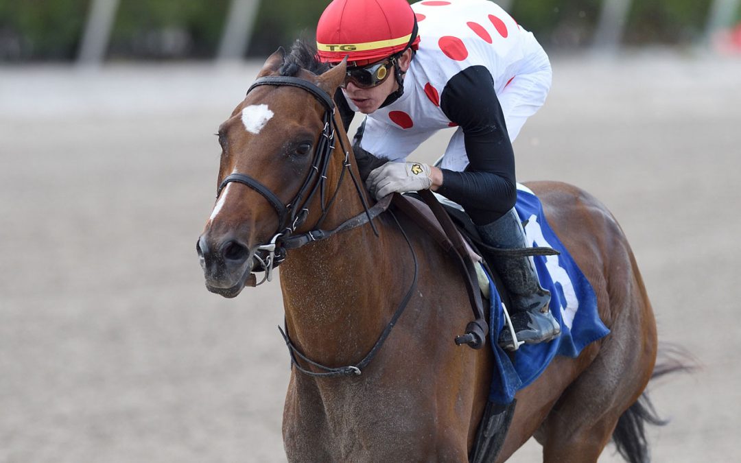 Florida Bred Horses Make Strong Showing in the Belmont!