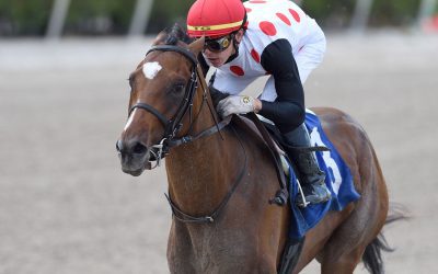 Florida Bred Horses Make Strong Showing in the Belmont!