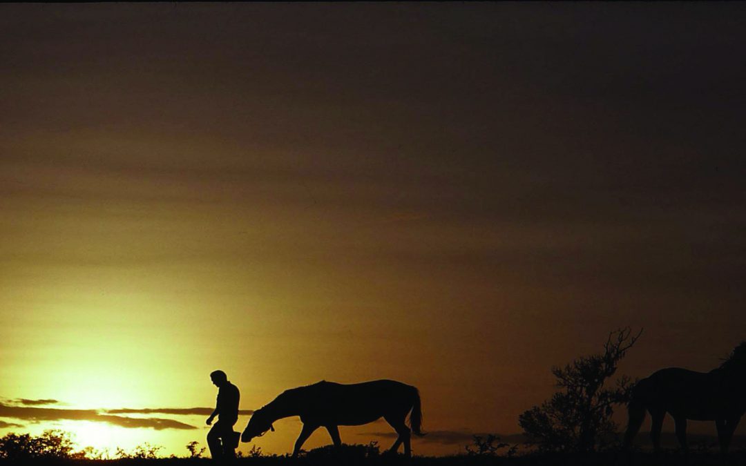 Horse Farms Forever Welcomes the Quail Roost Foundation as Supporters