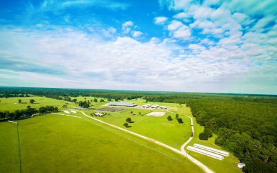 Ocala’s Home Grown Horse Park