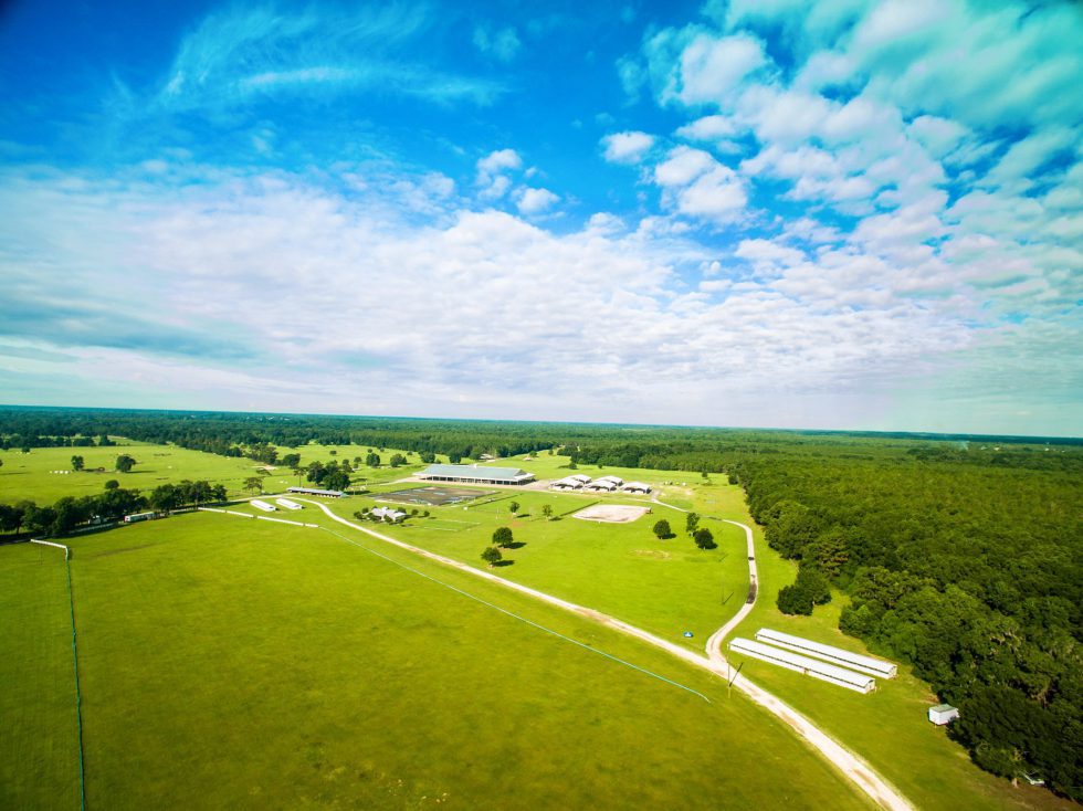 Ocala's Home Grown Horse Park - Horse Farms Forever