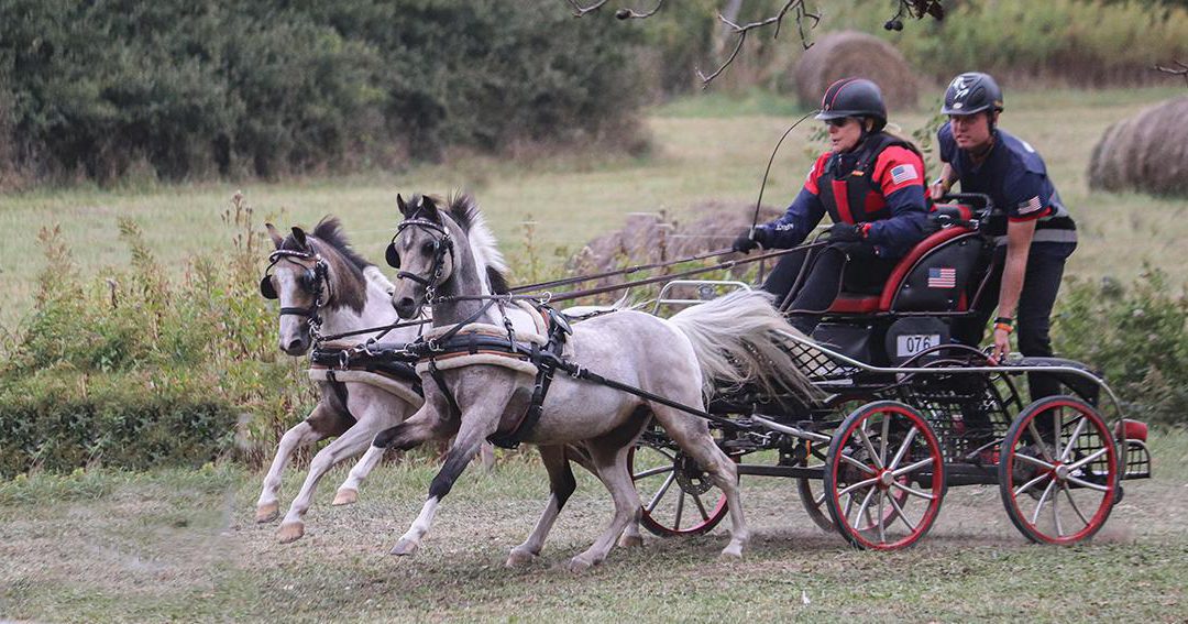 Florida Agriculture Commissioner Nikki Fried Appoints Four Florida Horse Park Board Members