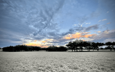 Marion County Votes for Farmland