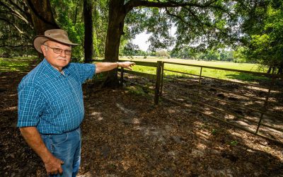 Marion Denies NW Housing Development