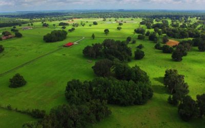 Golden Ocala Equestrian Land Proposals