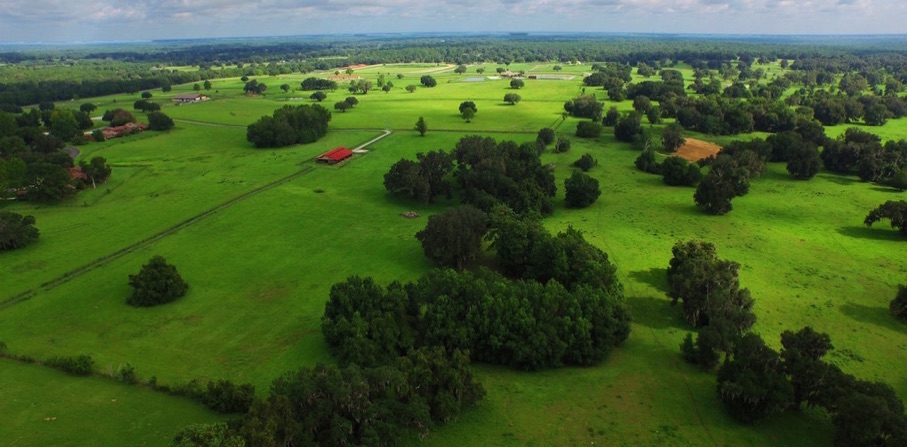 Golden Ocala Equestrian Land Proposals