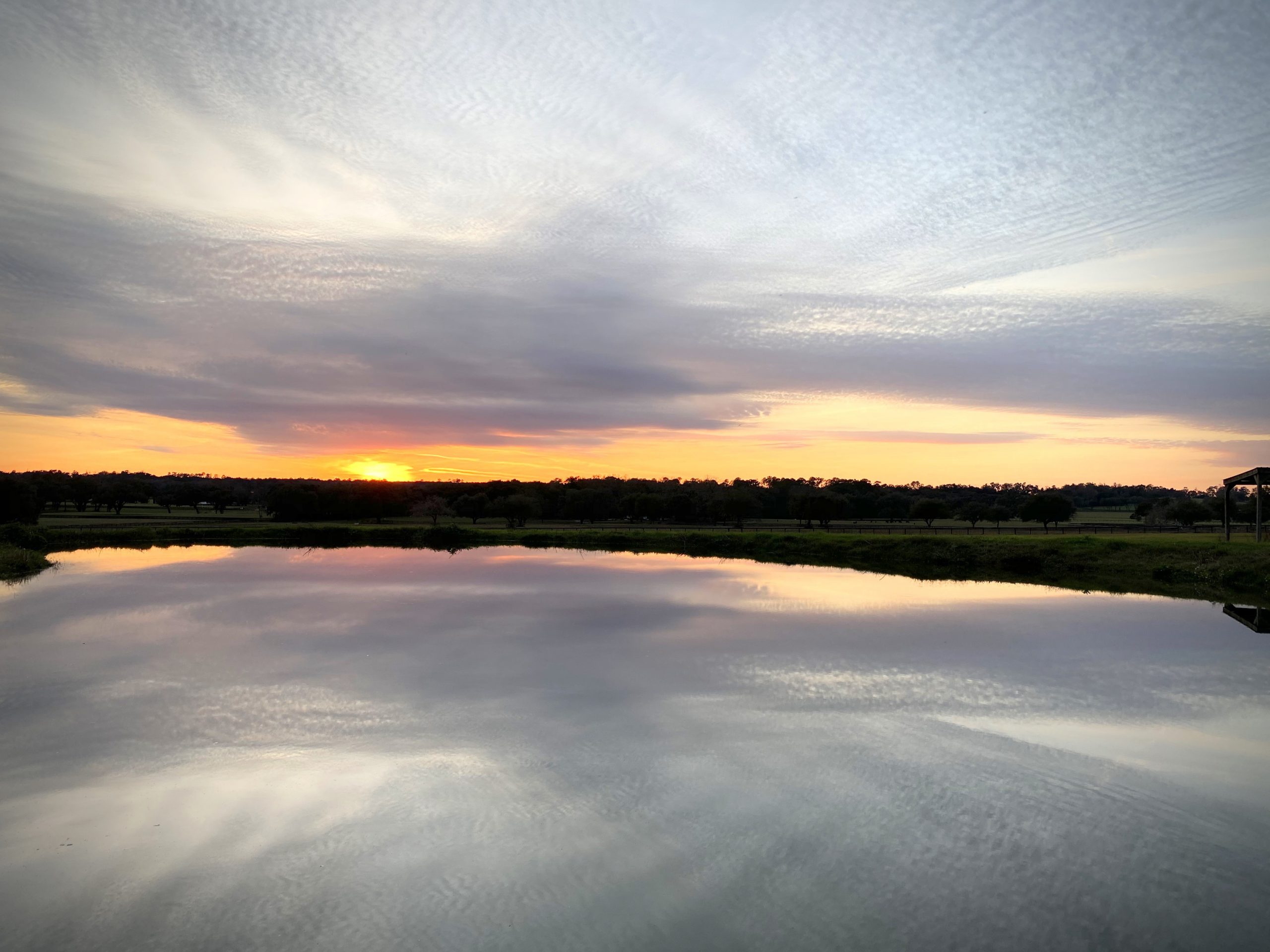 Does Farmland Preservation Matter To Marion County? Horse Farms Forever