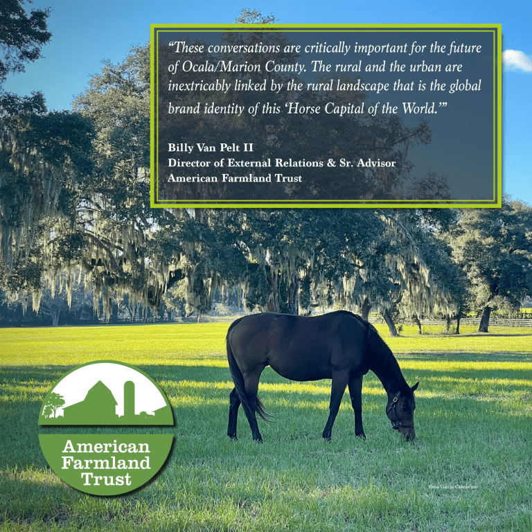 Marion County's Farmland Is It's "Factory Floor" Horse Farms Forever