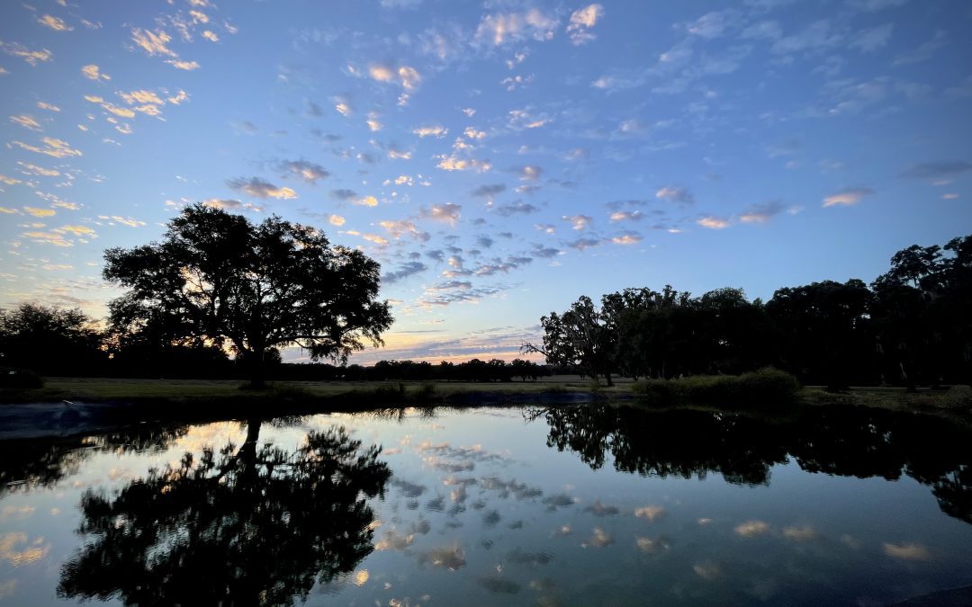 Naturally Healthy Ocala