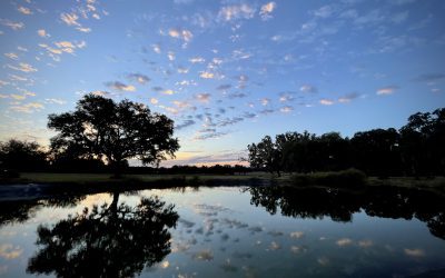 Naturally Healthy Ocala