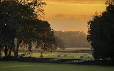 Marion County Five-Year Strategic Plan Takes Farmland Preservation Into Account