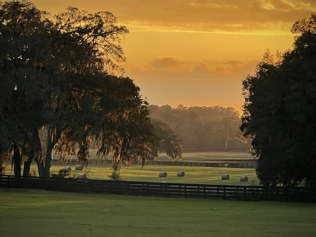 Marion County FiveYear Strategic Plan Takes Farmland Preservation Into