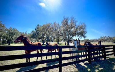 April Showers Bring New Members