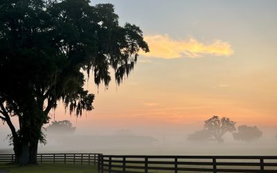 Just What Is The Farmland Preservation Area?