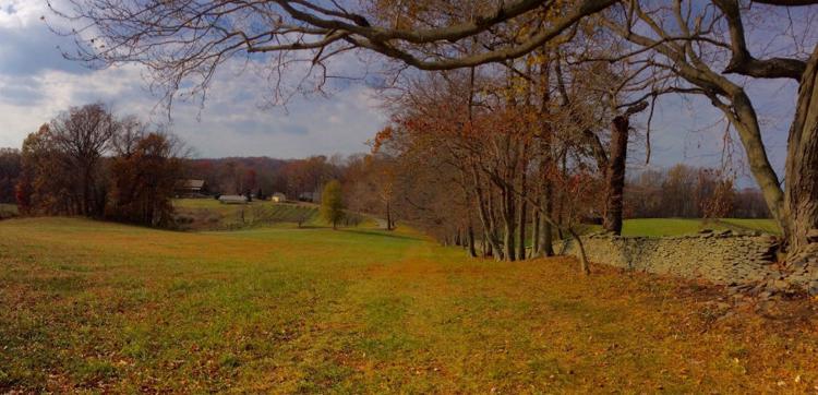 Mars farm Craig Bernick