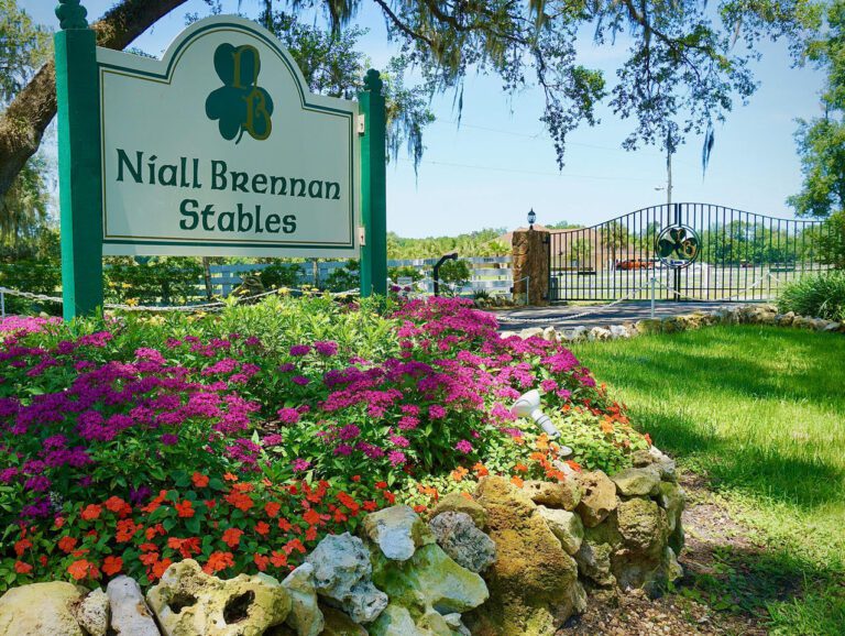 Niall Brennan Stables