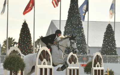 DarkHorse joins Horse Farms Forever® as a Founder Member