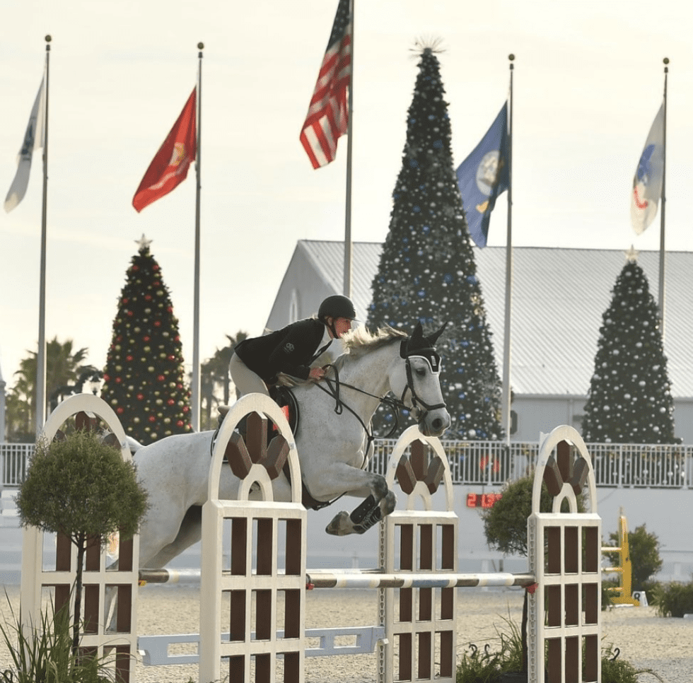 DarkHorse joins Horse Farms Forever® as a Founder Member Horse Farms