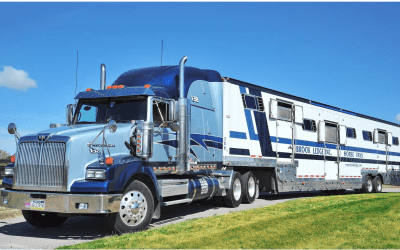 Special Delivery: Brook Ledge Horse Transportation’s Commitment to Conservation