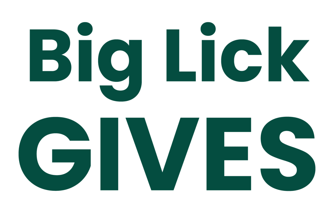 Big Lick Gives Foundation