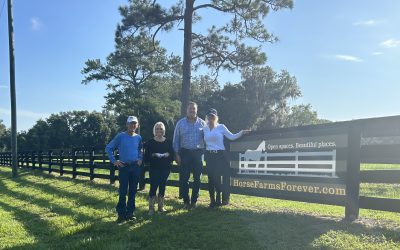 Horse Farms Forever Honored with Generous Gift from the Cathy D. Perry Trust