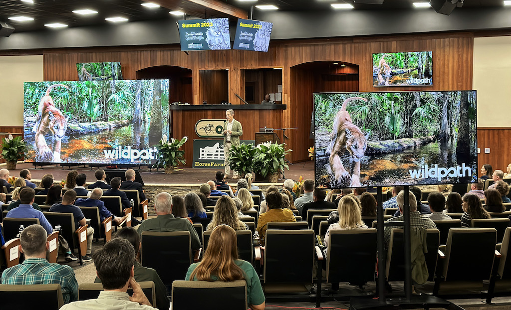 Wild Florida Celebrated at 2023 Conservation Summit