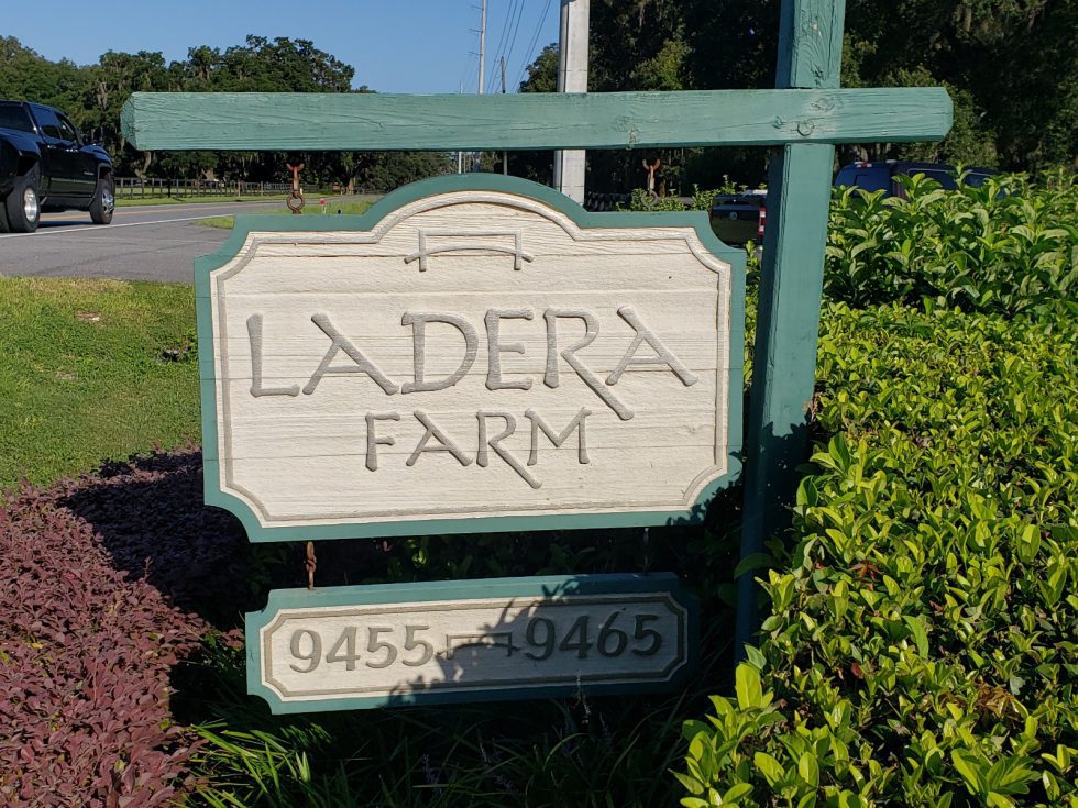 Spring Founder Spring Founder Spotlight - Horse Farms Forever