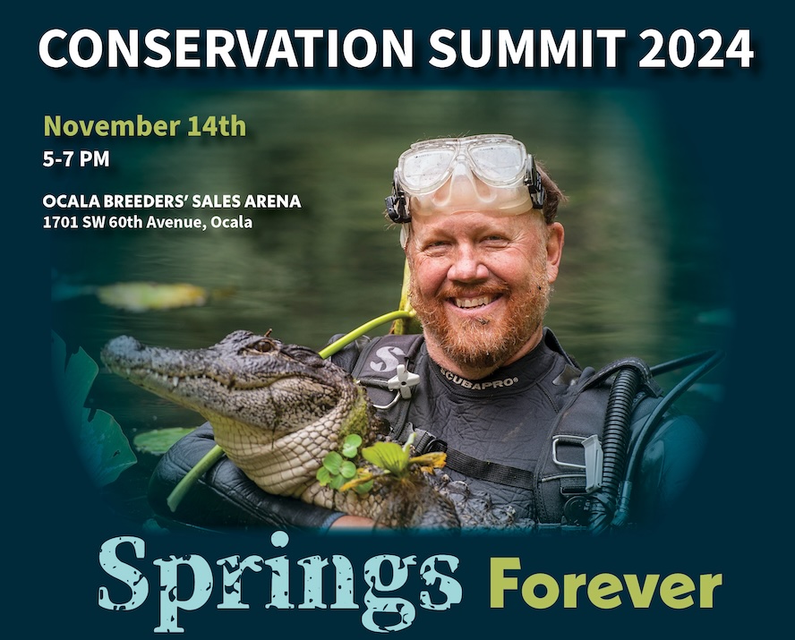 Summit Sponsorship Flyer Final 2024 copy