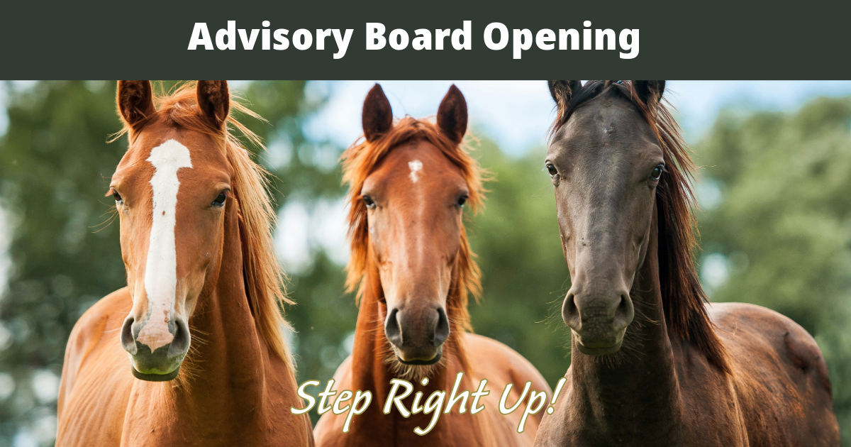 Volunteer Board Opening Make a Difference for Farmland Horse Farms