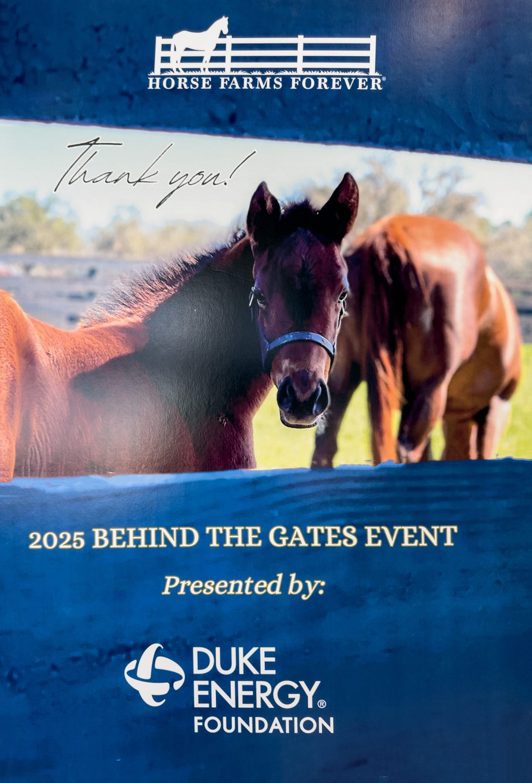 AdventHealth made a compelling presentation about their new Harnessing Health Equine Worker Health Initiative at the Summit. www.HarnessingHealthOcala.com