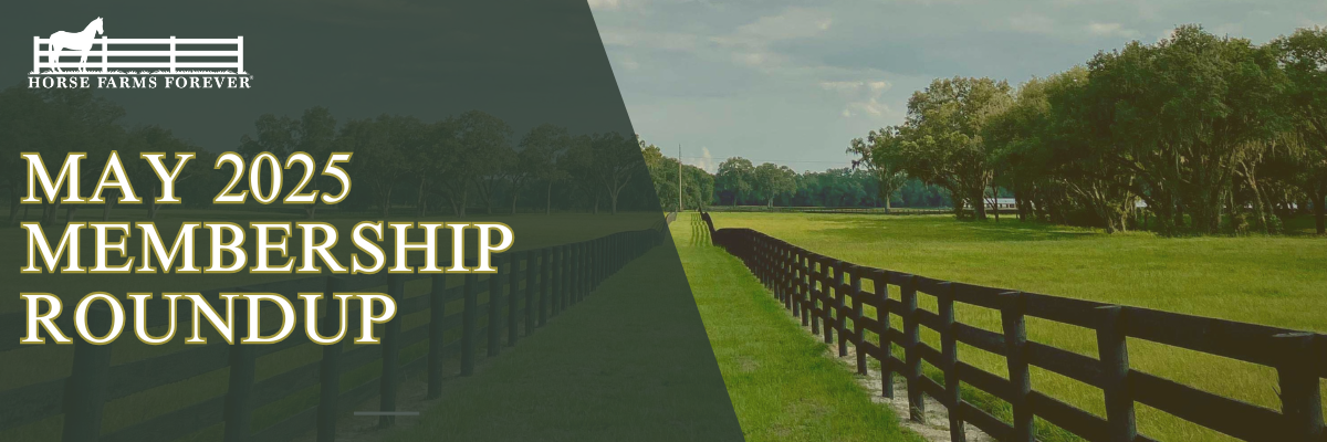 HFF Website Featured Image (1200 x 400 px) (15)