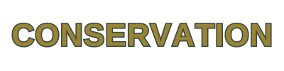 HFF Names (400 x 300 px) (400 x 175 px) (400 x 100 px)