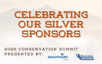 Celebrating Our Silver Sponsors