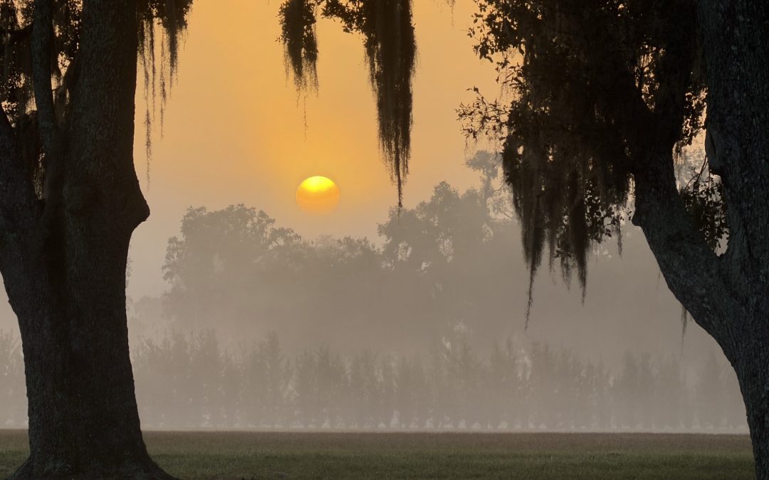 Corridor Connect+ LIVE: Working Lands, Working Solutions Comes to Ocala on May 20