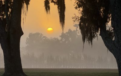 Corridor Connect+ LIVE: Working Lands, Working Solutions Comes to Ocala on May 20