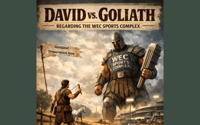 David vs. Goliath Regarding the WEC Sports Complex