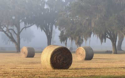 Marion County Declares April Farmland Preservation Month