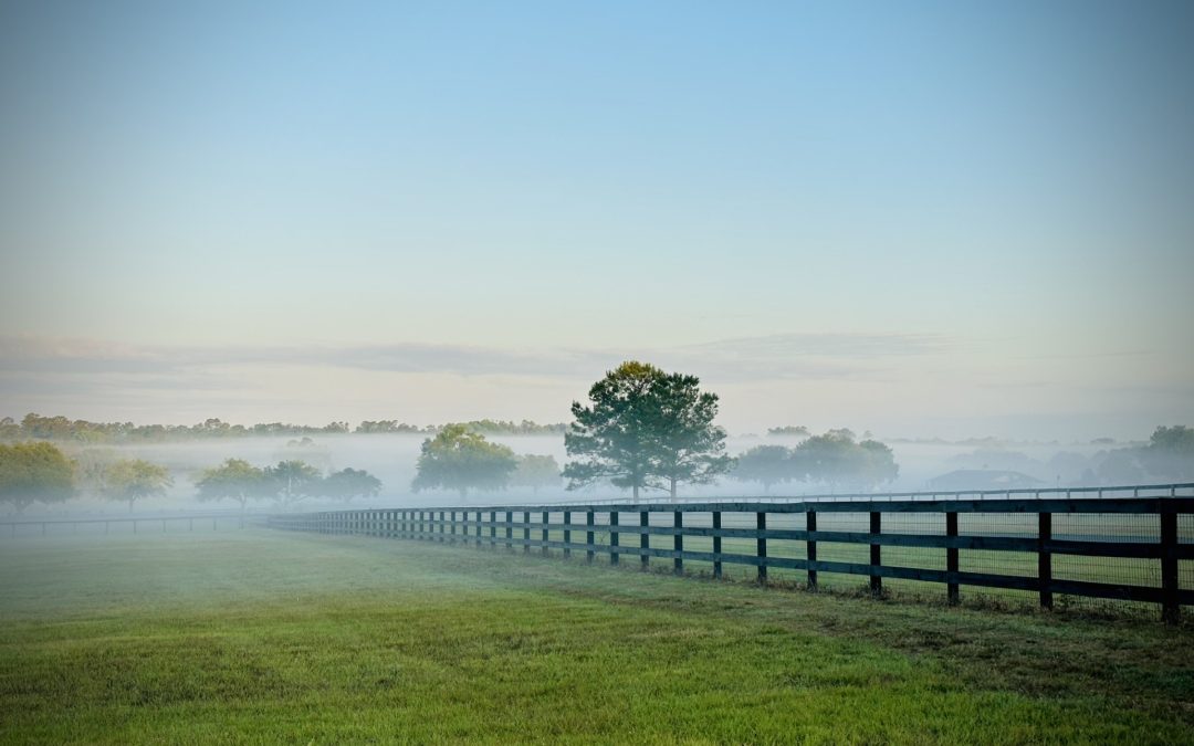 Growing Our Impact This Spring