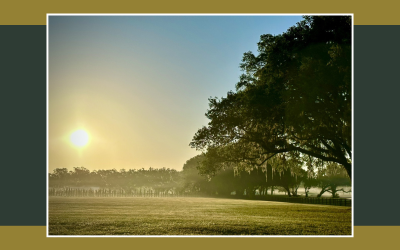 Celebrating 8 Years: Protecting More Than Land, Preserving a Legacy